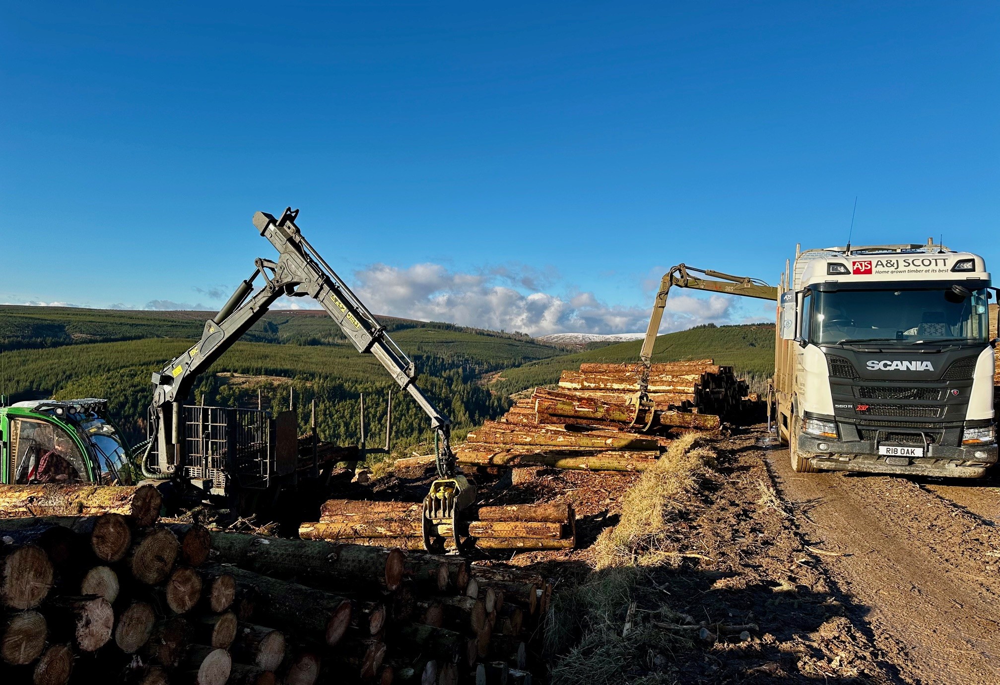 Progress at Kidland Forest: Storm Arwen Recovery in Full Swing